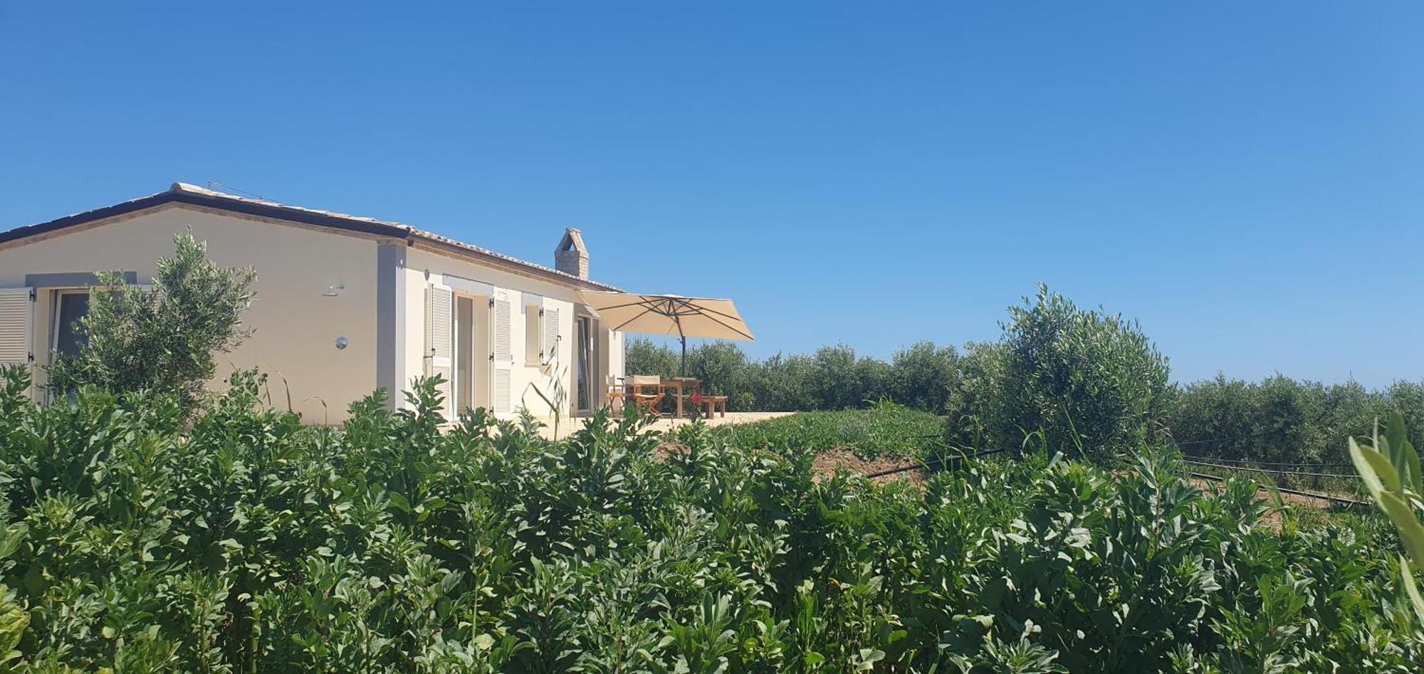 Agriturismo Mondomini Campofilone 외부 사진