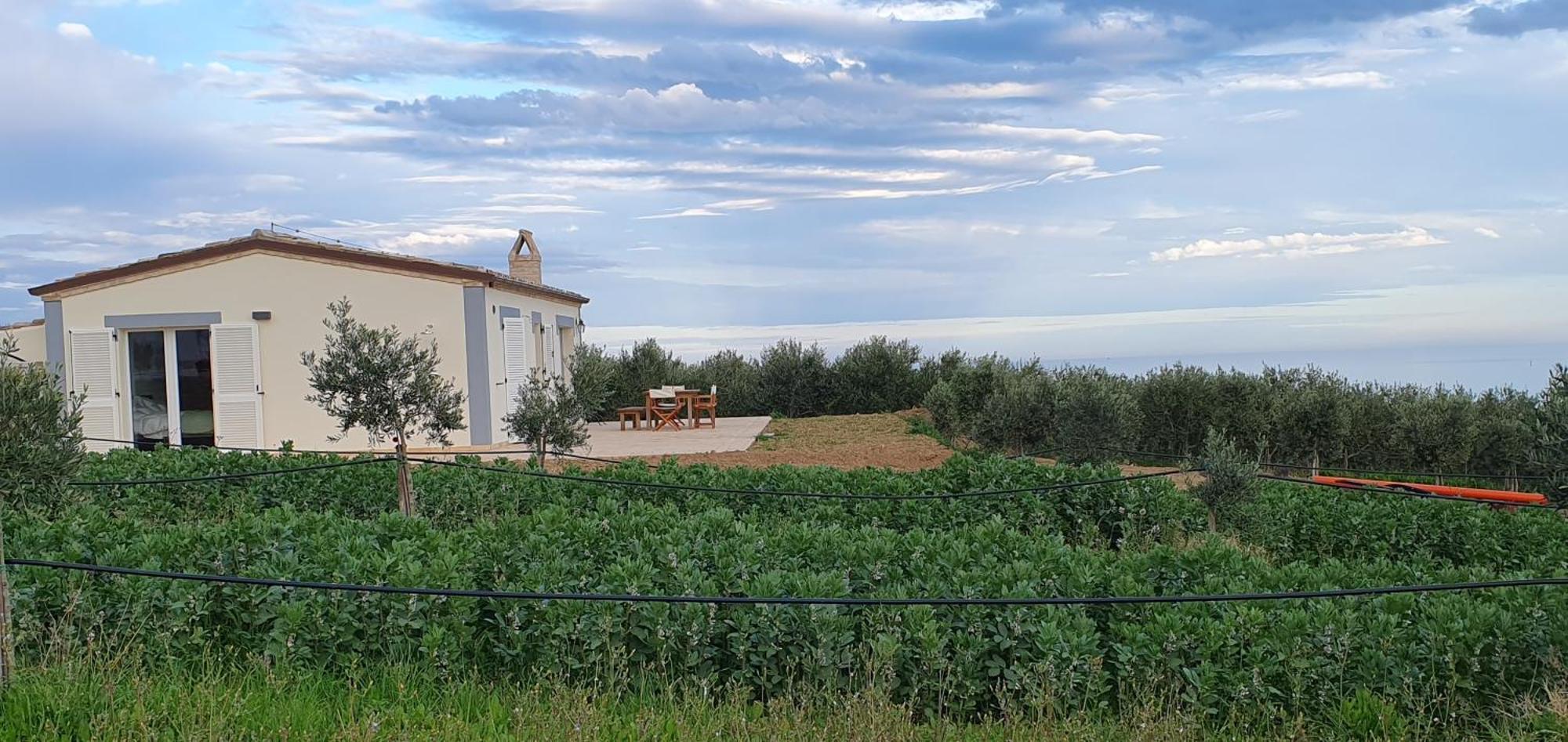 Agriturismo Mondomini Campofilone 외부 사진